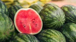 Several watermelons with half sliced one in the middle