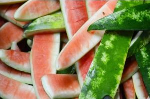 slices of watermelon bark