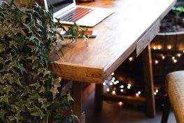 Working as a freelance developer