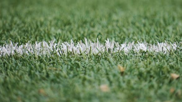 highest paying sports in Nigeria