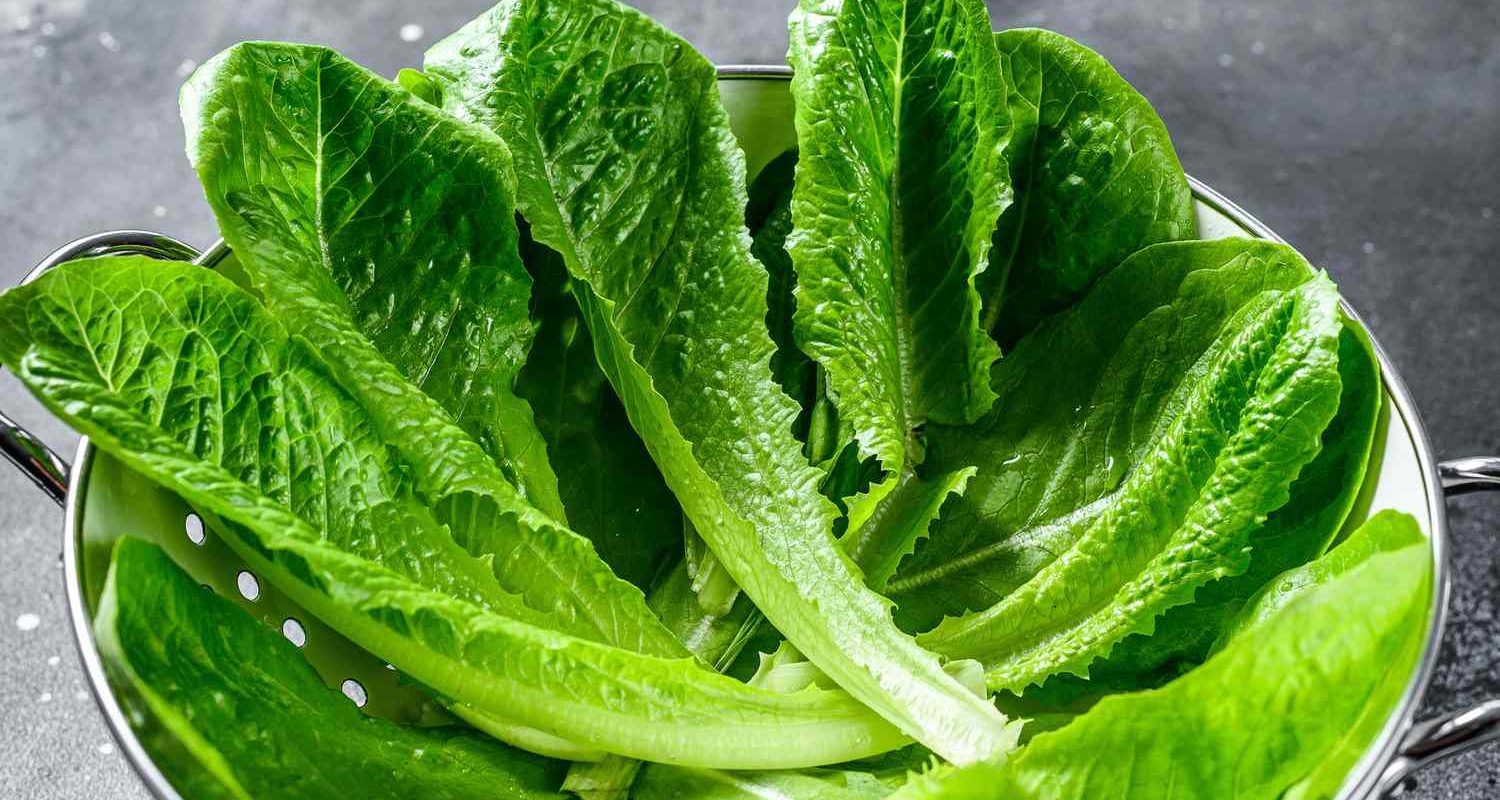 Leafy green vegetables