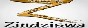 Zindziswa Concept Limited