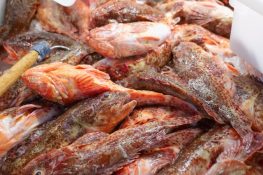 Meat or Fish: Which Is Healthier for You?