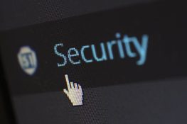Security Logo ( Secure)
