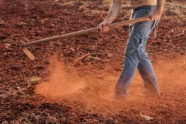 The Hidden Dangers: Why You Should Avoid Dust Exposure
