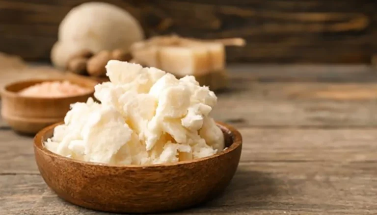 The Wonders of Shea Butter: Why You Should Make It a Part of Your Daily Routine